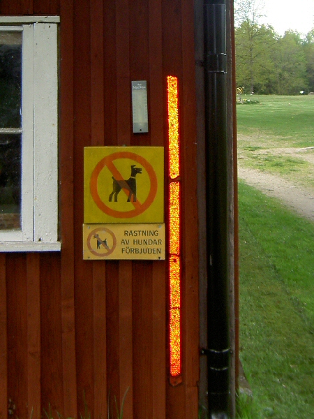 Rastning av hundar förbjuden